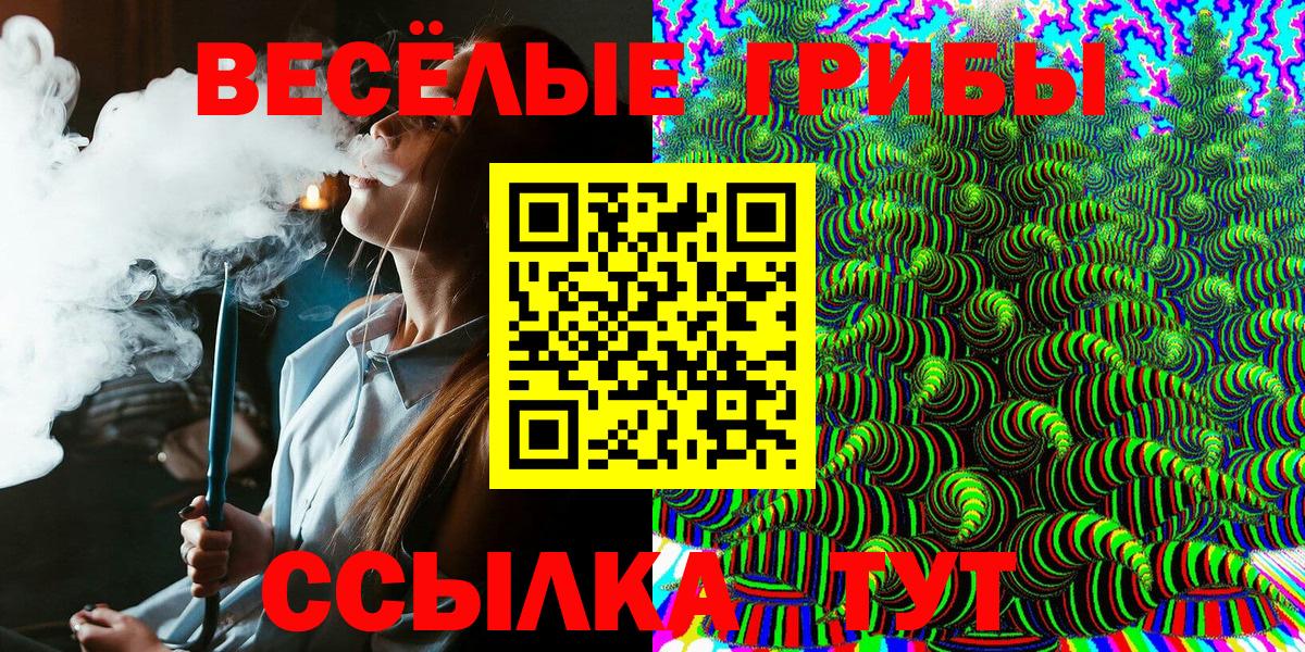 Галлюциногенные грибы Psilocybine cubensis Славянск-на-Кубани