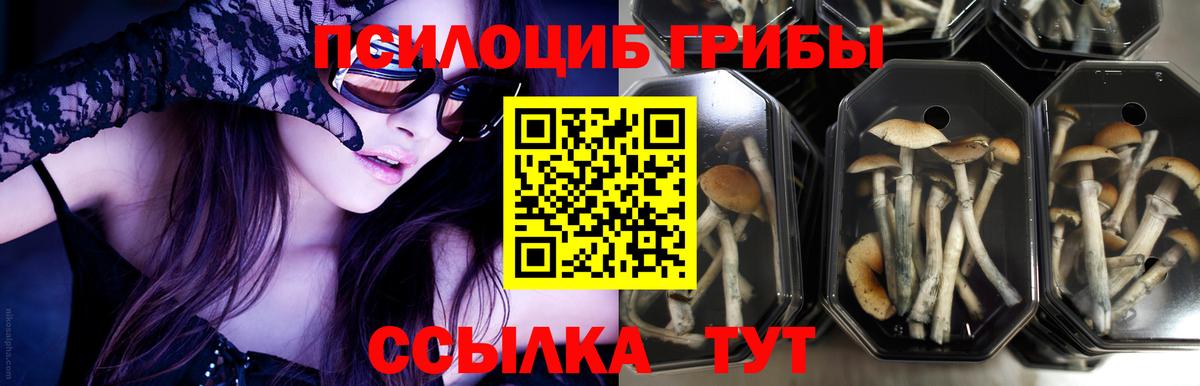дарнет шоп  Псилоцибиновые грибы мухоморы  Славянск-на-Кубани  Вход с VPN  Галлюциногенные грибы MAGIC MUSHROOMS 